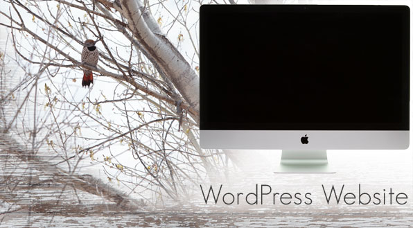 custom website vs template website